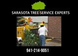 Profile Photos of Sarasota Tree Service Experts