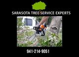 Profile Photos of Sarasota Tree Service Experts