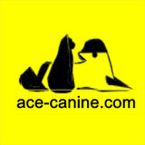 Ace Canine Healthcare, Reading
